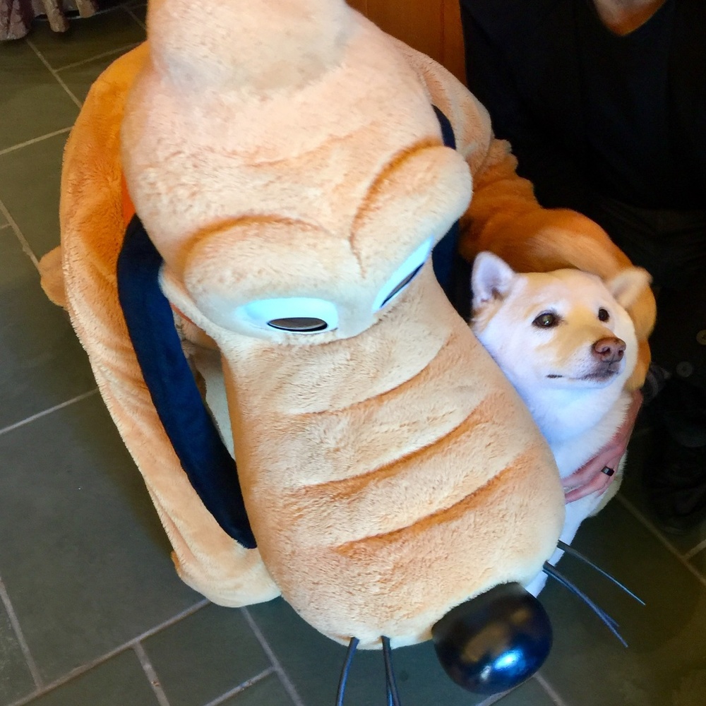 Meet your Posher, Ala na